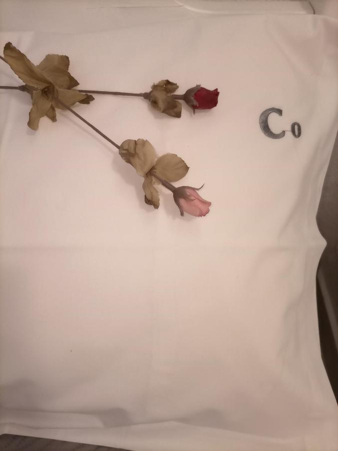 דירות קאבאלה Lilac Studio מראה חיצוני תמונה
